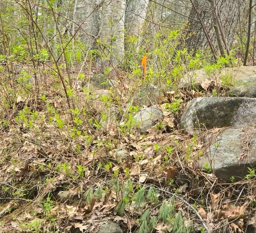 MR3L10- 22 South Shore Drive, Warren, ME 04864 - #2