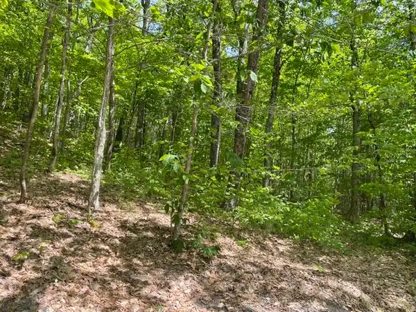 0 Edes Falls Road, Harrison, ME 04040