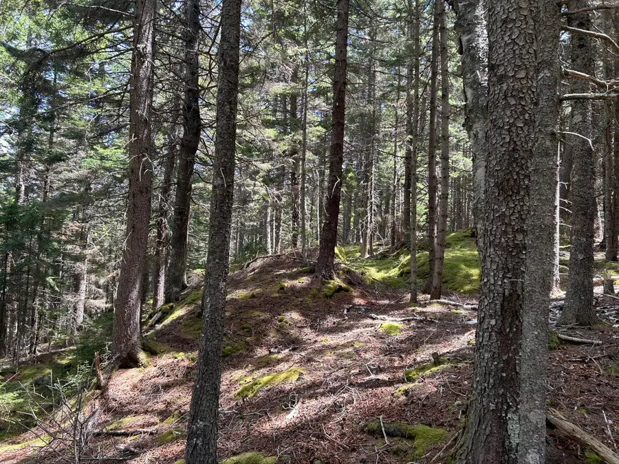 000 Stanley Point Road, Swans Island, ME 04685 - #2