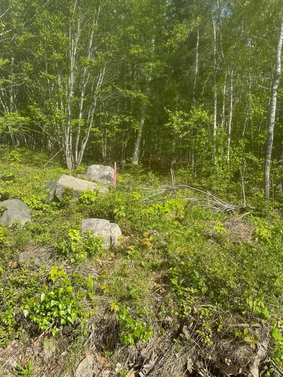 Lot 4 Unionville Road, Steuben, ME 04680 - #2