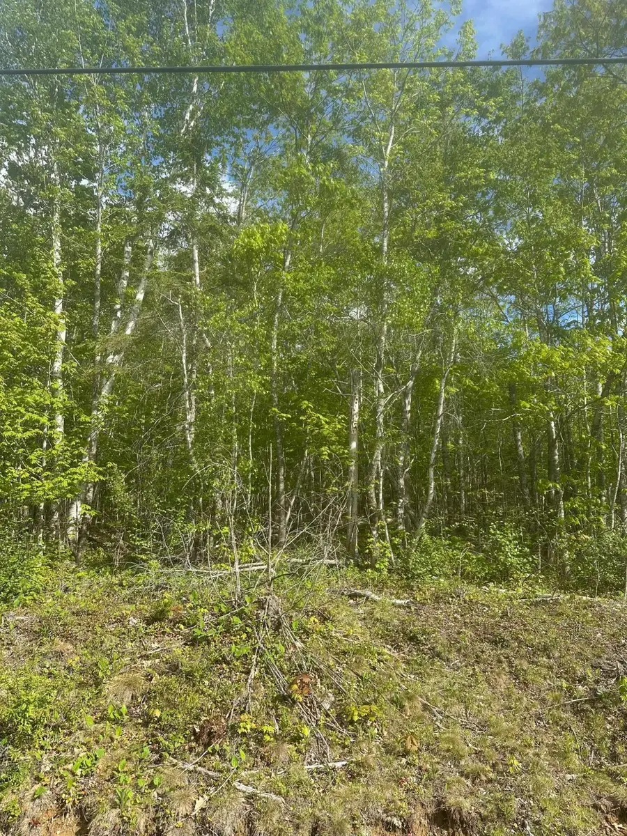 Lot 4 Unionville Road, Steuben, ME 04680 - #3