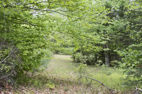 M2 L21-2 S Ridge Road, Palmyra, ME 04965