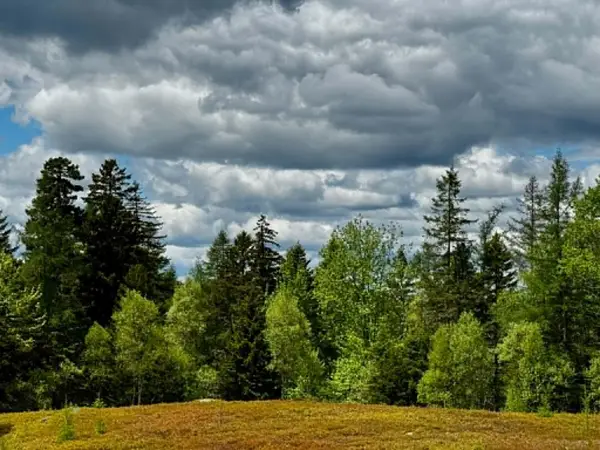 Lot 1 & 2B Elm Street, Machias, ME 04654