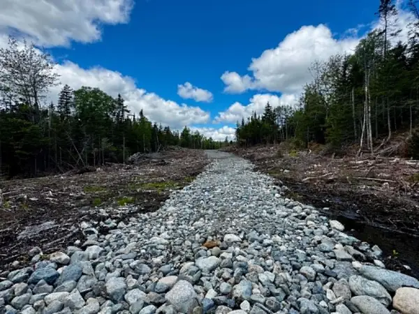Lot 49 Port Road, Machiasport, ME 04655