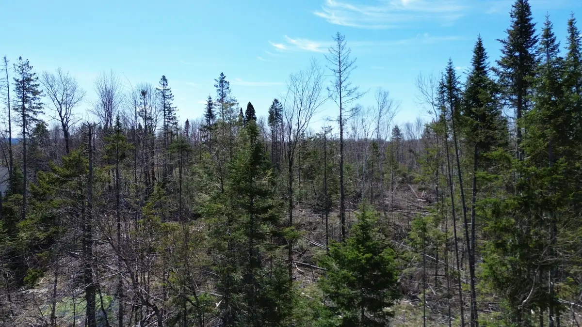 M 1 31C B Road, Hammond, ME 04730 - #1