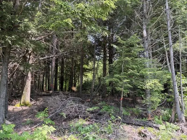 00 Kirkland Road, Old Town, ME 04468 - #2