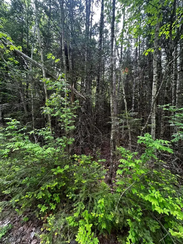 Lot 9-3 Lilly Drive, Newport, ME 04953