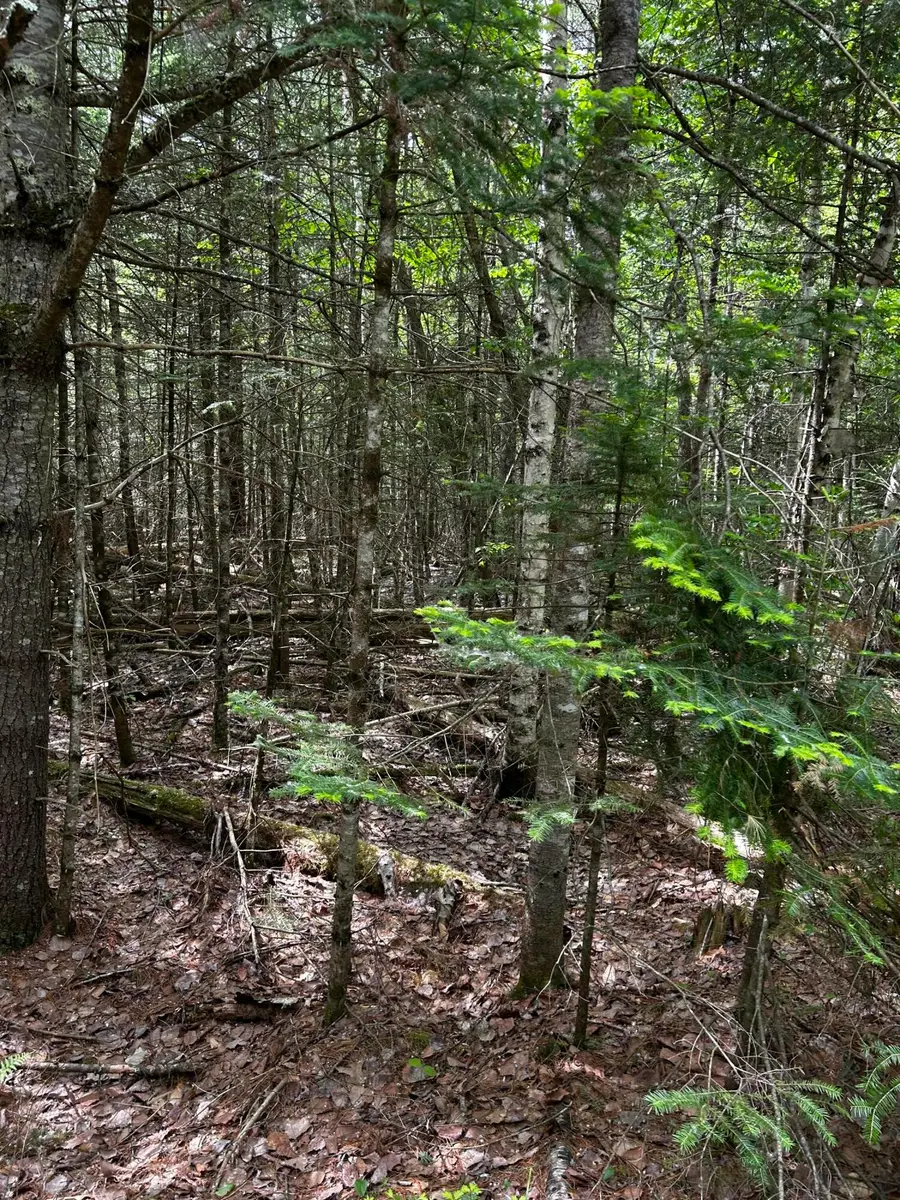 Lot 9-3 Lilly Drive, Newport, ME 04953 - #3