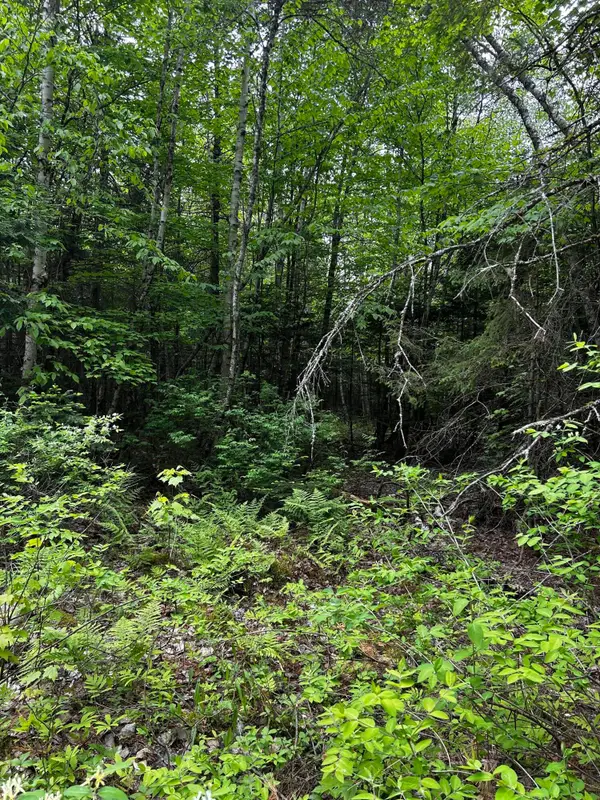 Lot 9-4 Lilly Drive, Newport, ME 04953