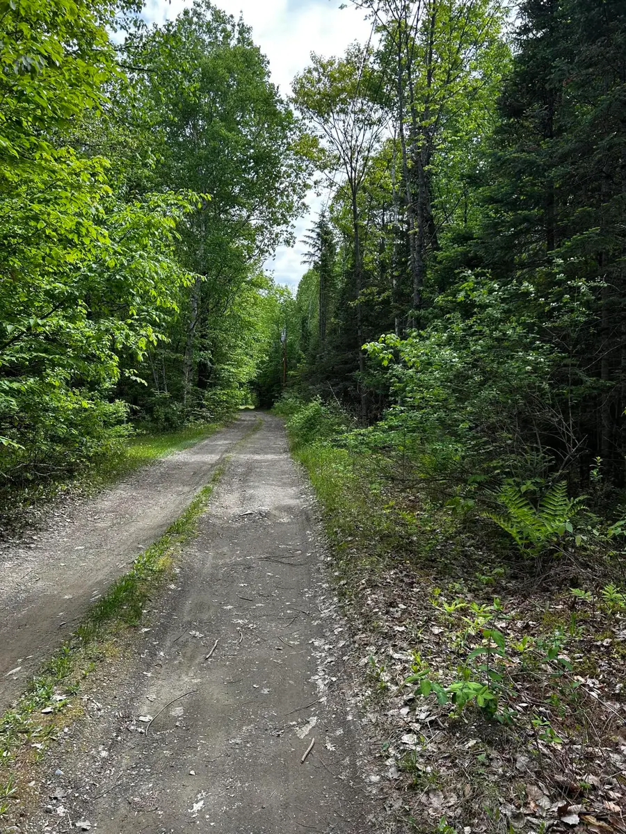 Lot 9-4 Lilly Drive, Newport, ME 04953 - #3