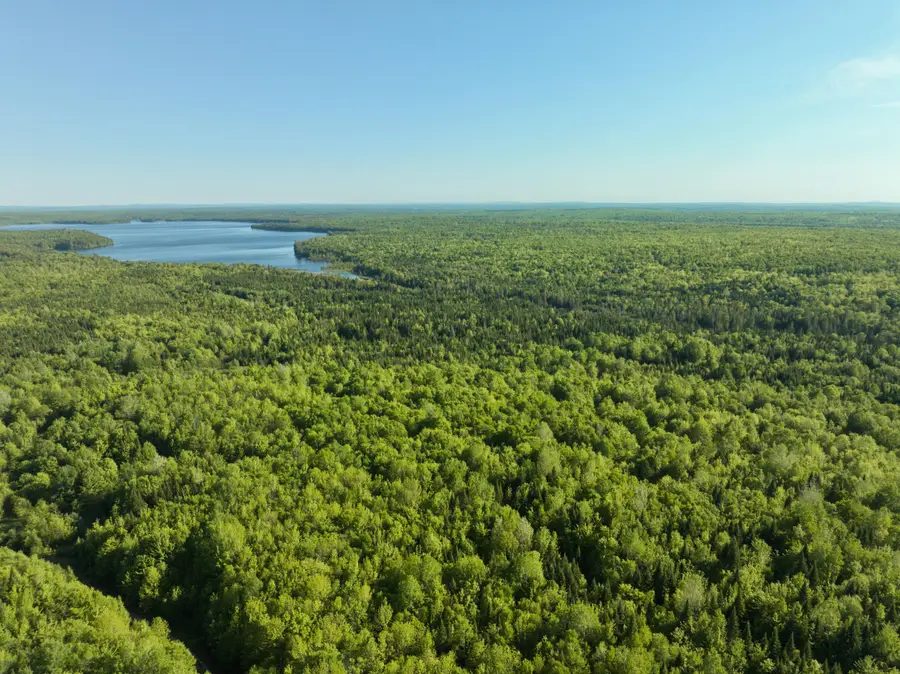 0 Off Dixie Road, South Aroostook, ME 04497 - #3