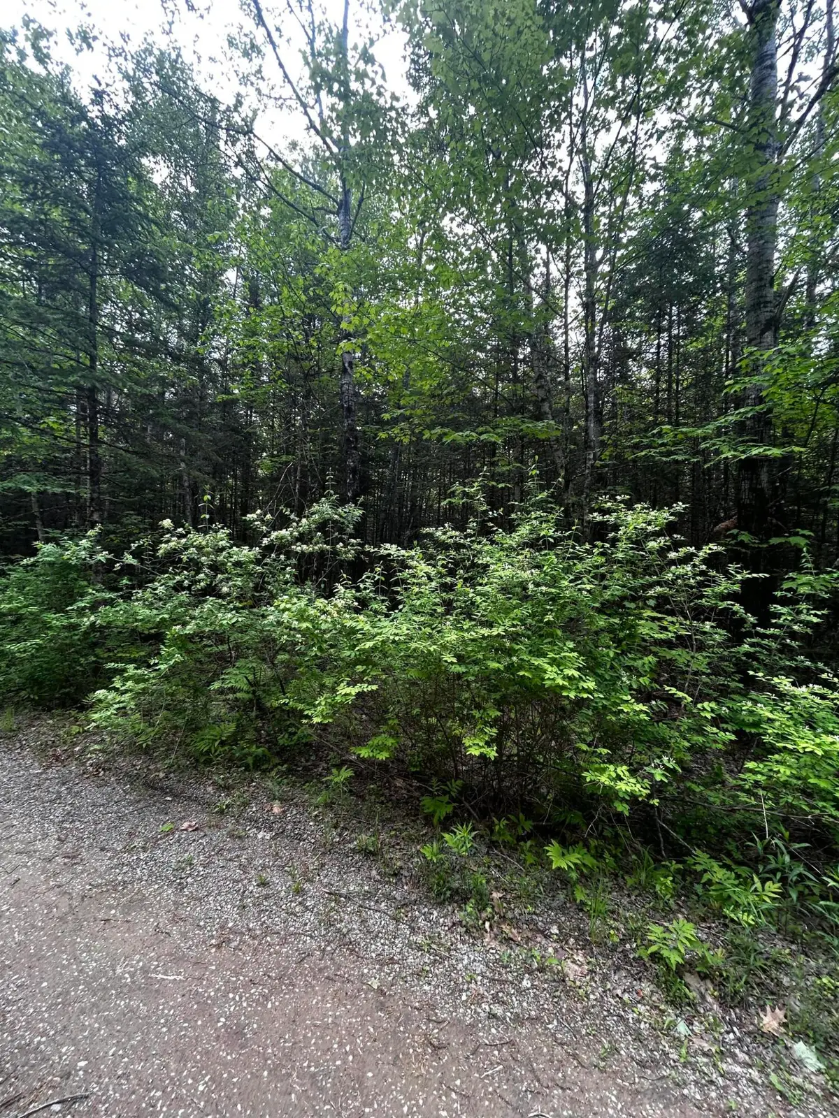 Lot 9-2 Lilly Drive, Newport, ME 04953 - #1