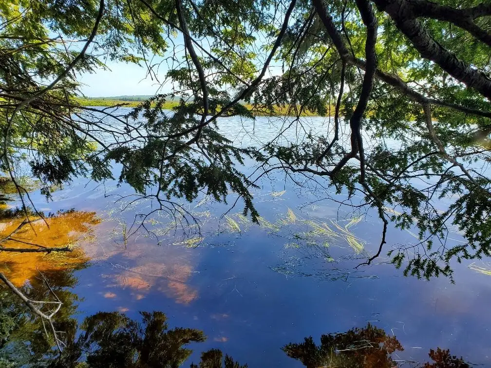 Lot 7 Heath Road, Mariaville, ME 04605 - #1