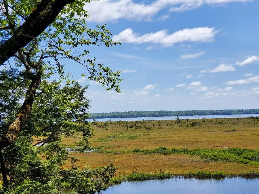 Lot 7 Heath Road, Mariaville, ME 04605 - #3