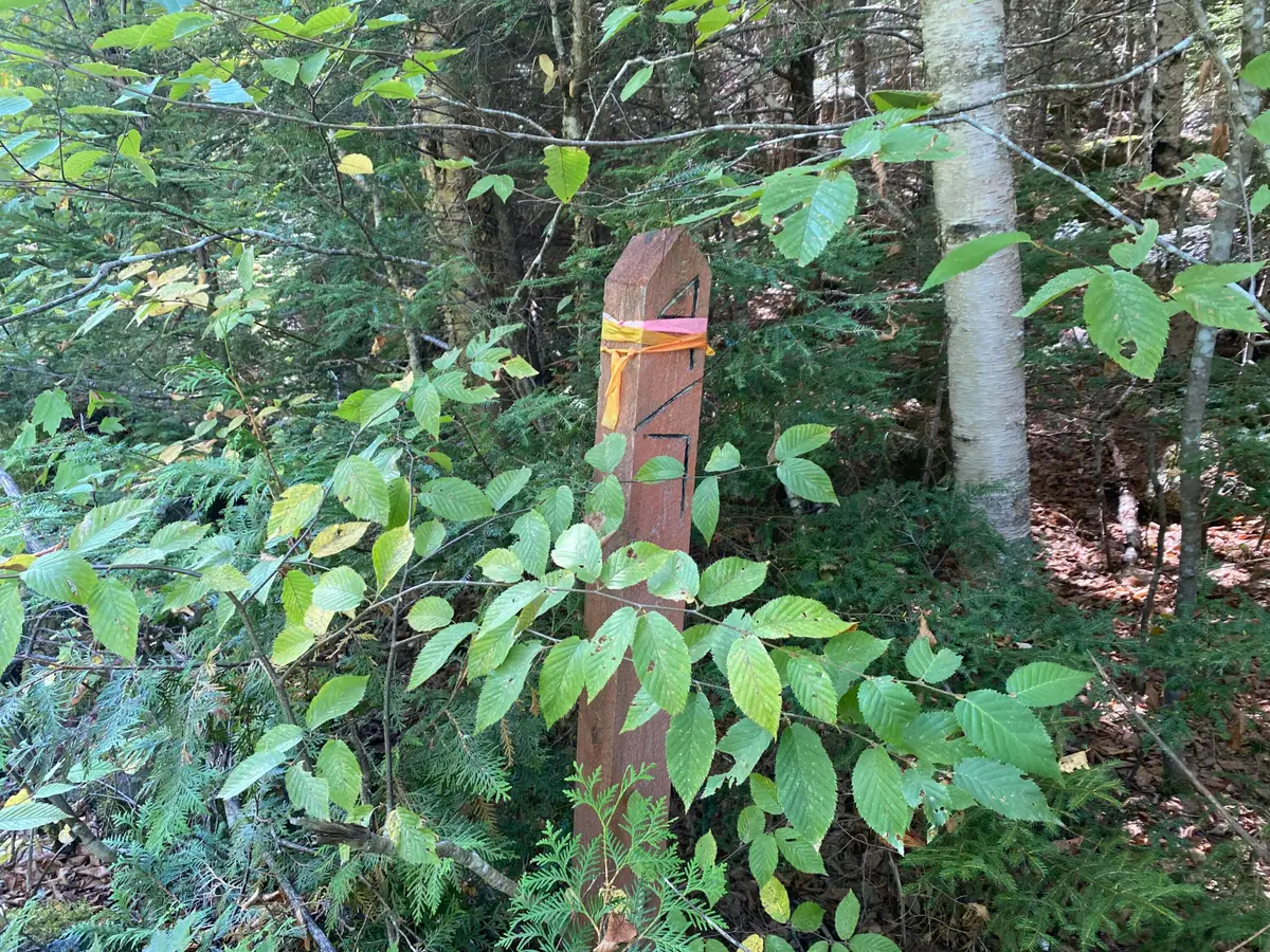 M06-Lot18B Sys Road, Lakeville, ME 04487 - #1