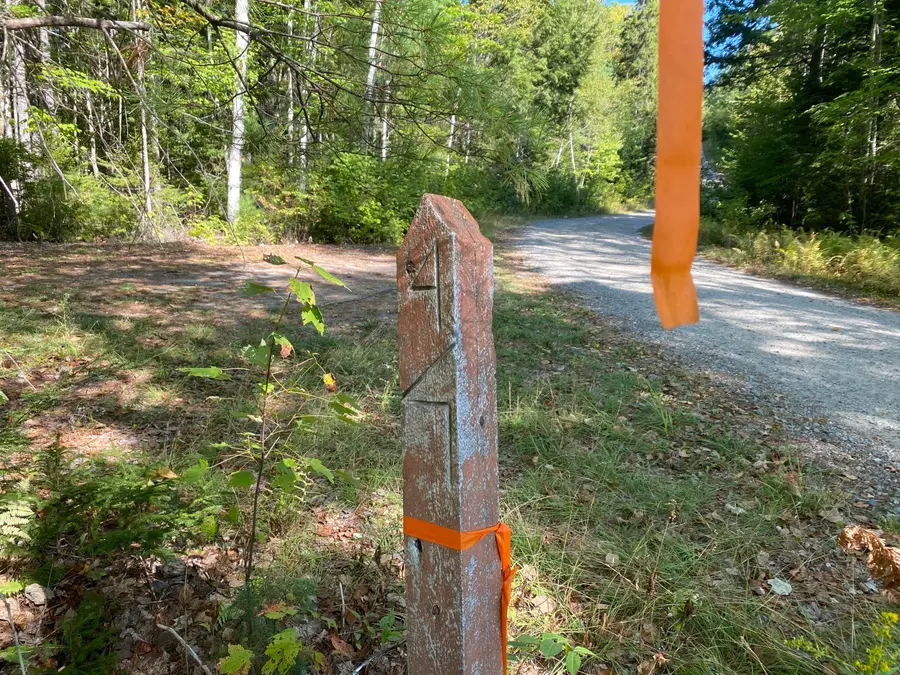 M06-Lot18B Sys Road, Lakeville, ME 04487 - #3