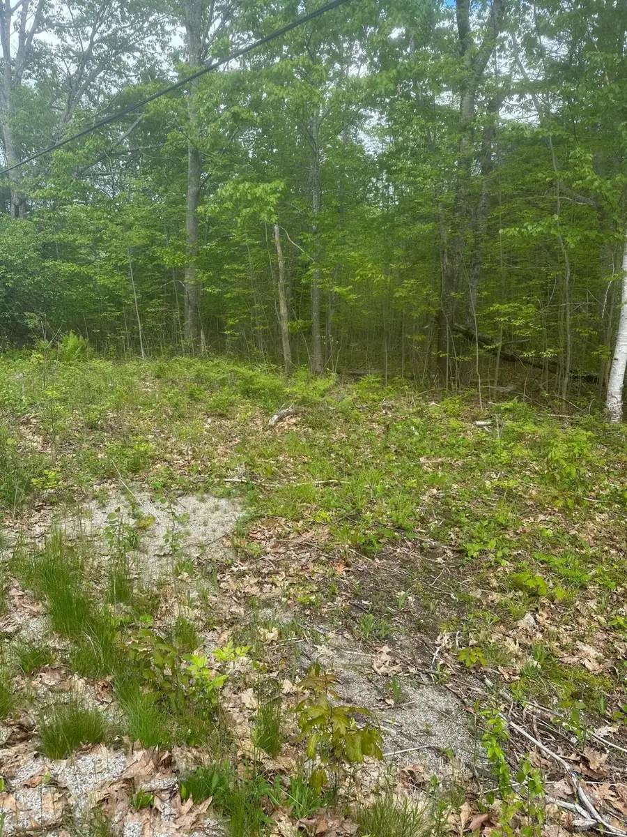 Lot 7 Unionville Road, Steuben, ME 04680 - #2