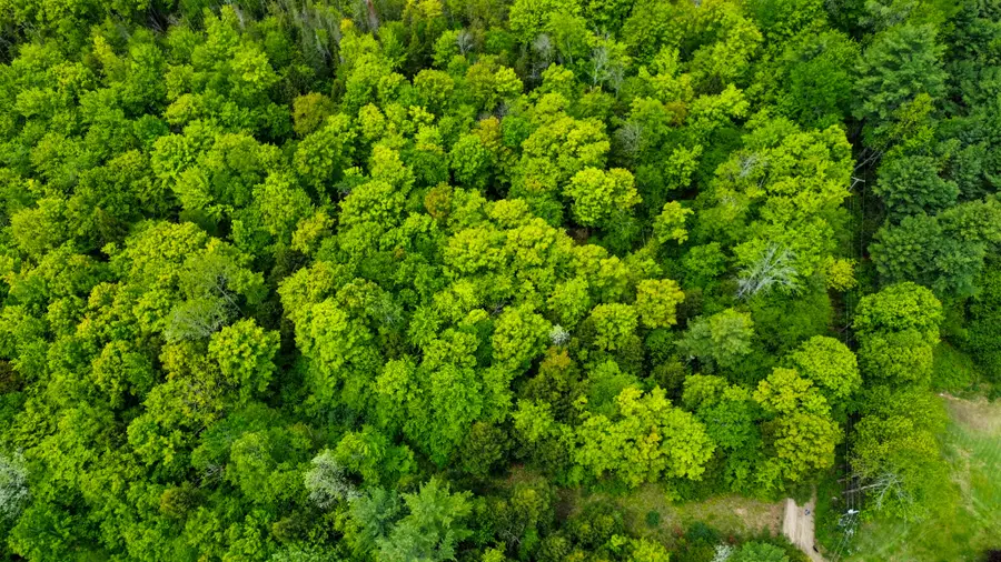 Lot 16D Old Towle Road, Dixfield, ME 04224 - #2