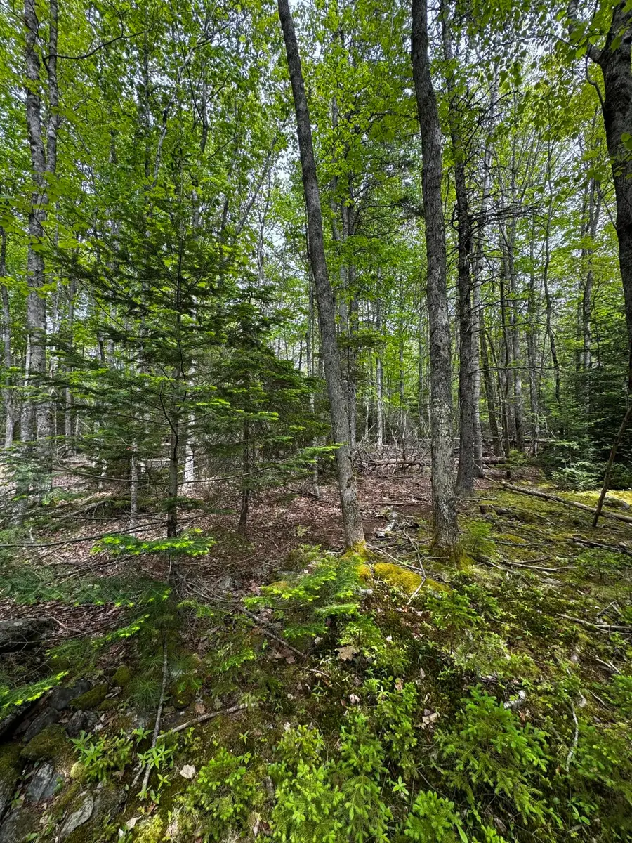 Lot 0 Hadley Point Road, Bar Harbor, ME 04609 - #3
