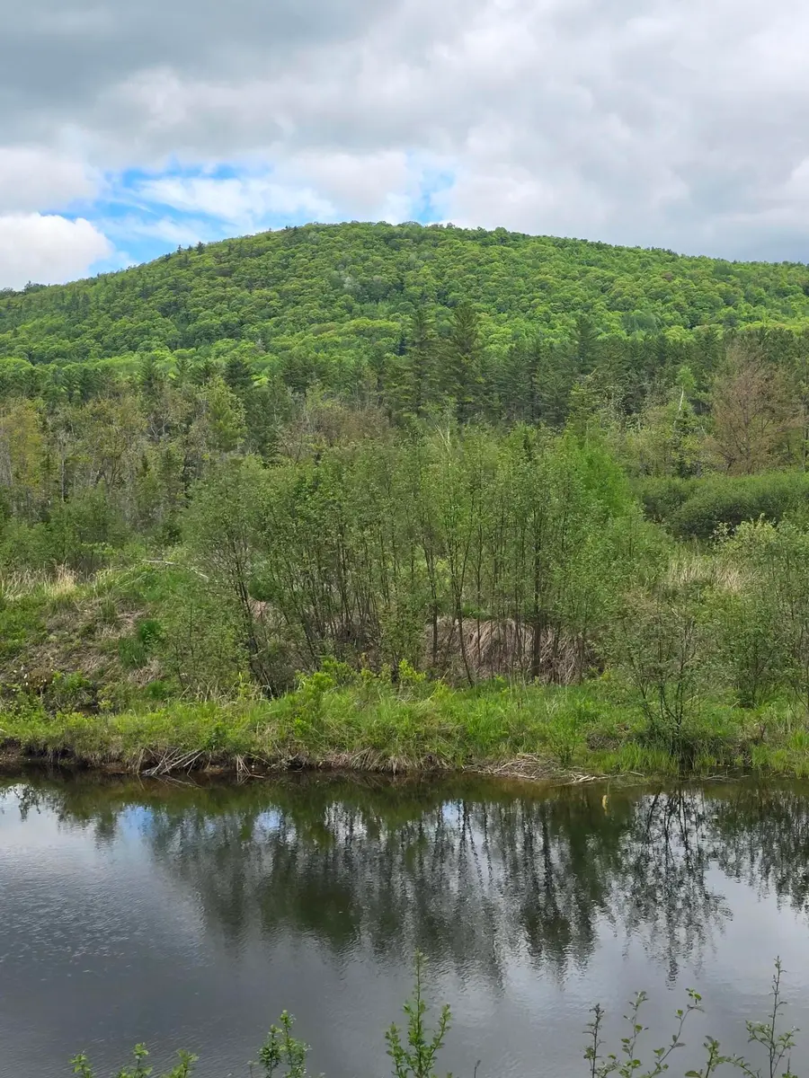 212 Mile Square Road, Phillips, ME 04966 - #2