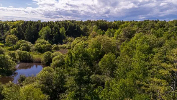 Map 20 Lot 14-10 Iron Tree Street, South Thomaston, ME 04858