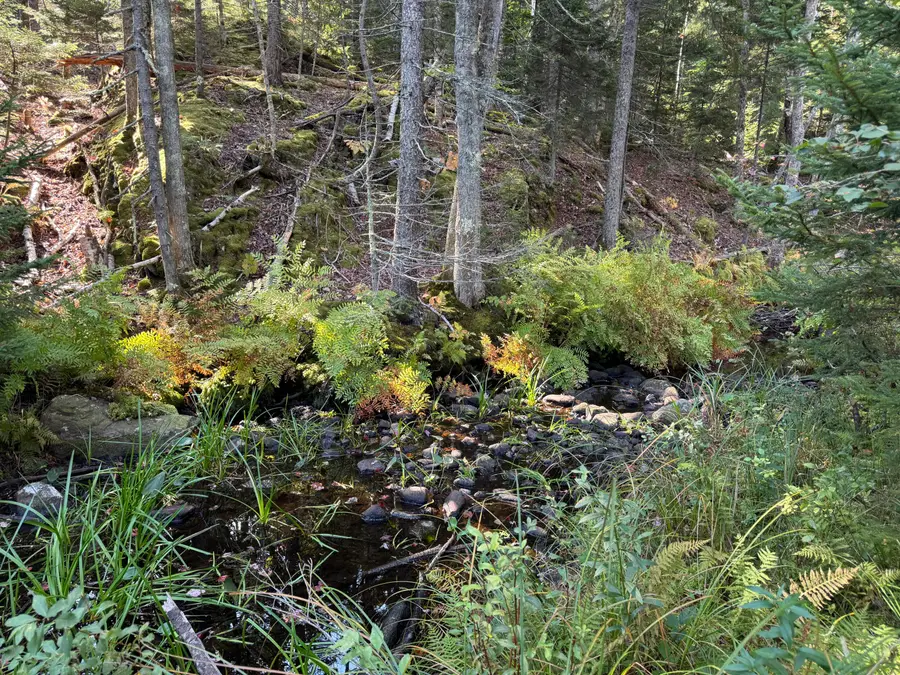 0 Main Road, Phippsburg, ME 04565 - #3