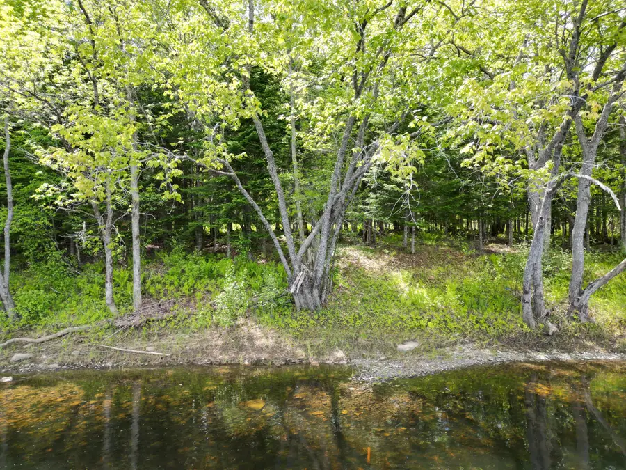 Lot 19-001 West Indian Road, Woodville, ME 04457 - #2