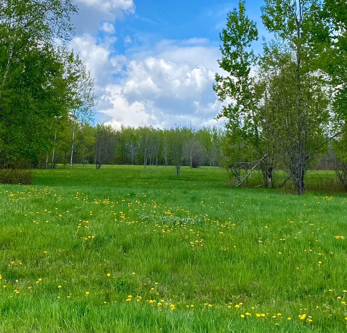 Lot 8 Clark Road, Patten, ME 04765 - #1
