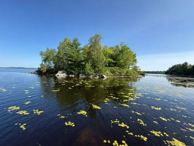 Lot 018 Pike Island, Meddybemps, ME 04657 - #1