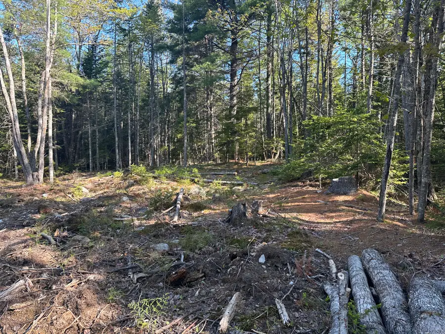 61 Gerards Trail, Blue Hill, ME 04614 - #2
