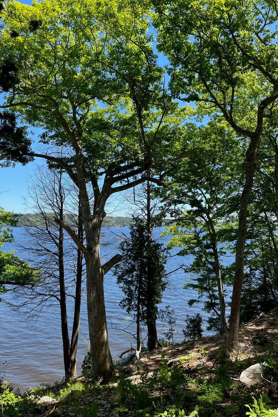 Lot#2 Kennebec Shores S, Phippsburg, ME 04562 - #2