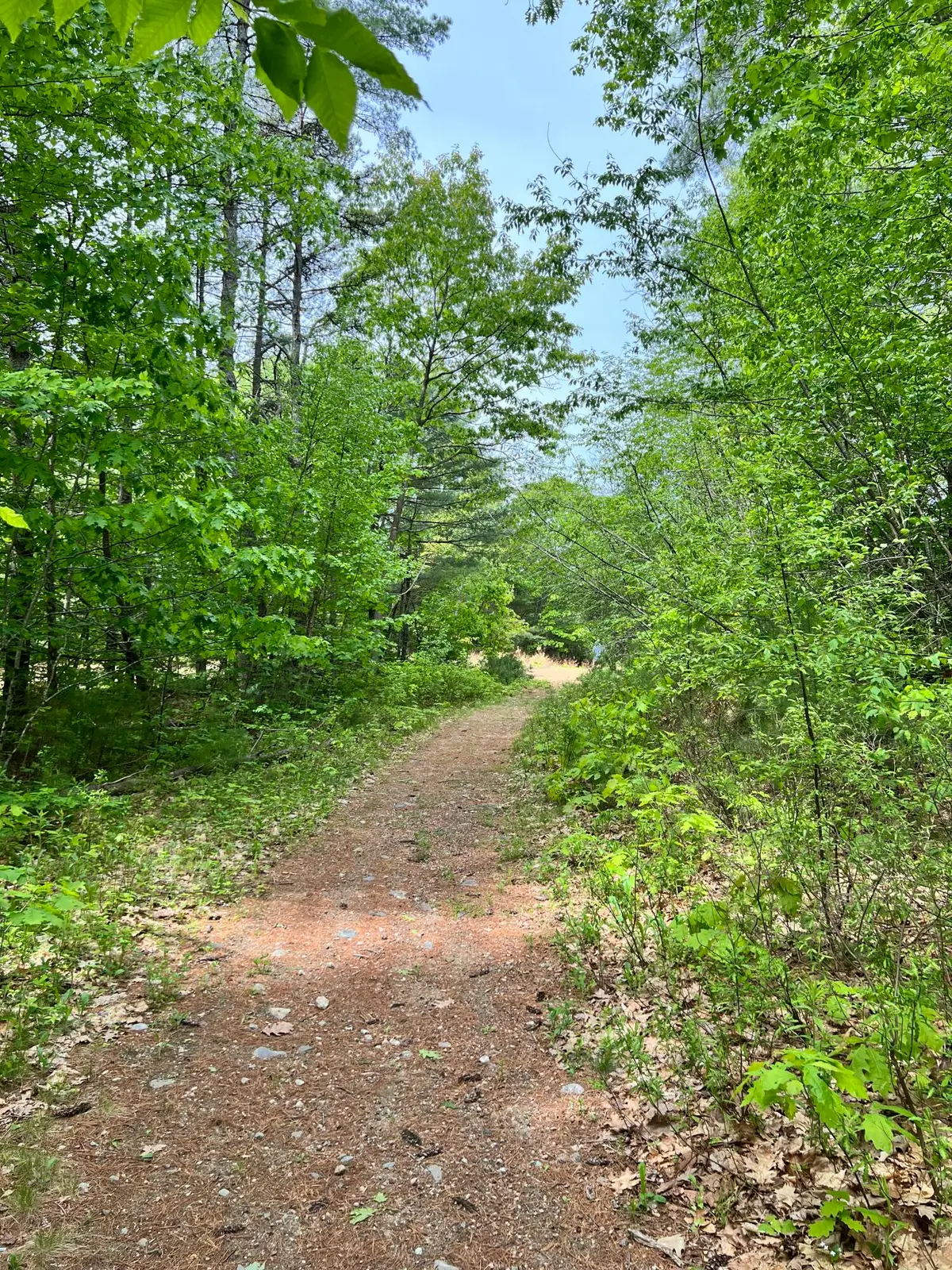 33 Serenity Lane, Topsham, ME 04086 - #1