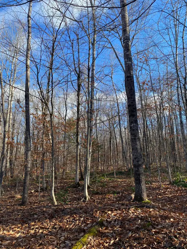 Lot 023 Pleasant Ridge Road, Dexter, ME 04930