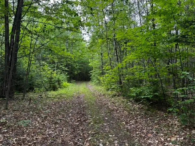 46 Dore Hill Road, Athens, ME 04912 - #2