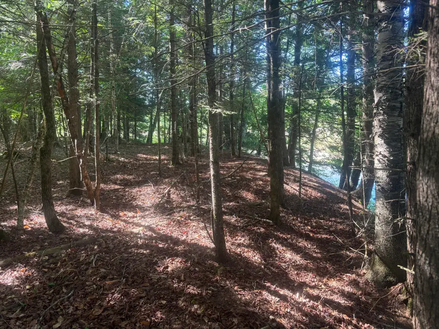 56 Streamview Drive, Harmony, ME 04942 - #3