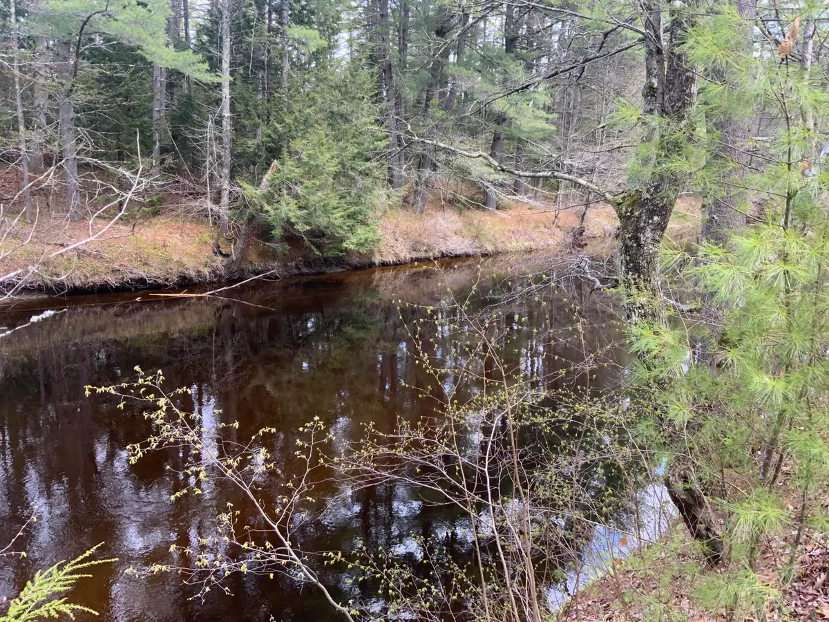 167 Maplewood Drive, Naples, ME 04055 - #1