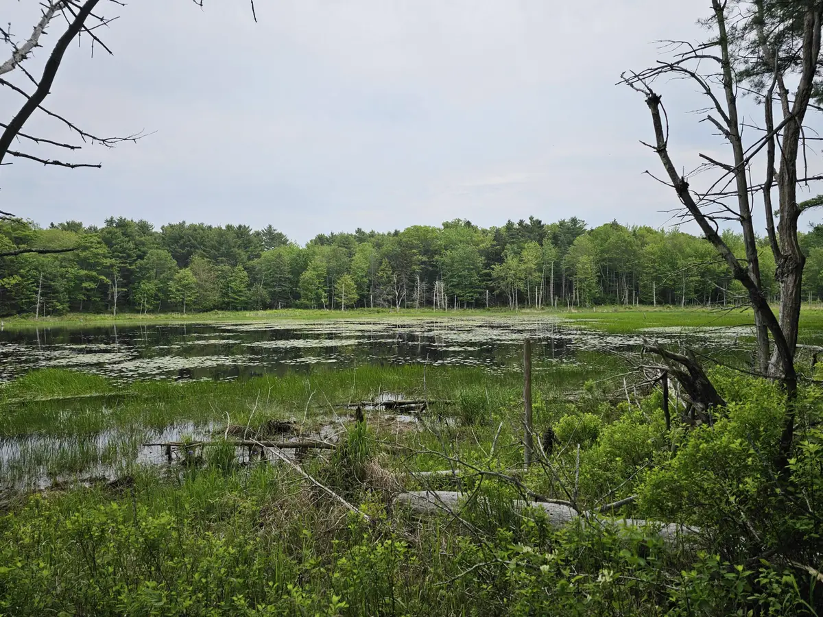105-26 Back Eighty Road, Boothbay, ME 04537 - #1
