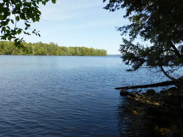 Lot 2 Big Lake Shores Road, Greenlaw Chopping Twp, ME 04668