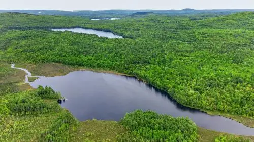 Lot# Bucksmills Road, Bucksport, ME 04416