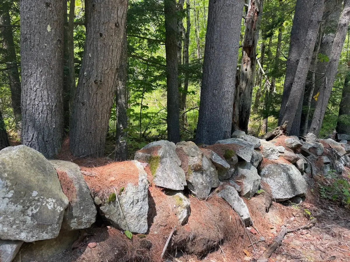 TBD Middle Road, Waterboro, ME 04087 - #1