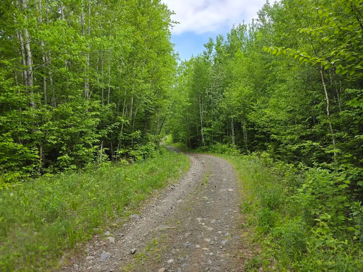 M 22 L 44A Beaver Dam Point Road Ext, Island Falls, ME 04747 - #1