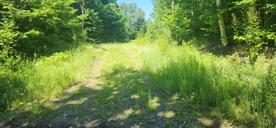 20.82 Ac Sleeper Road, Island Falls, ME 04747 - #3