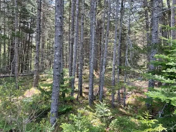 16 Woody Lane, Cushing, ME 04563