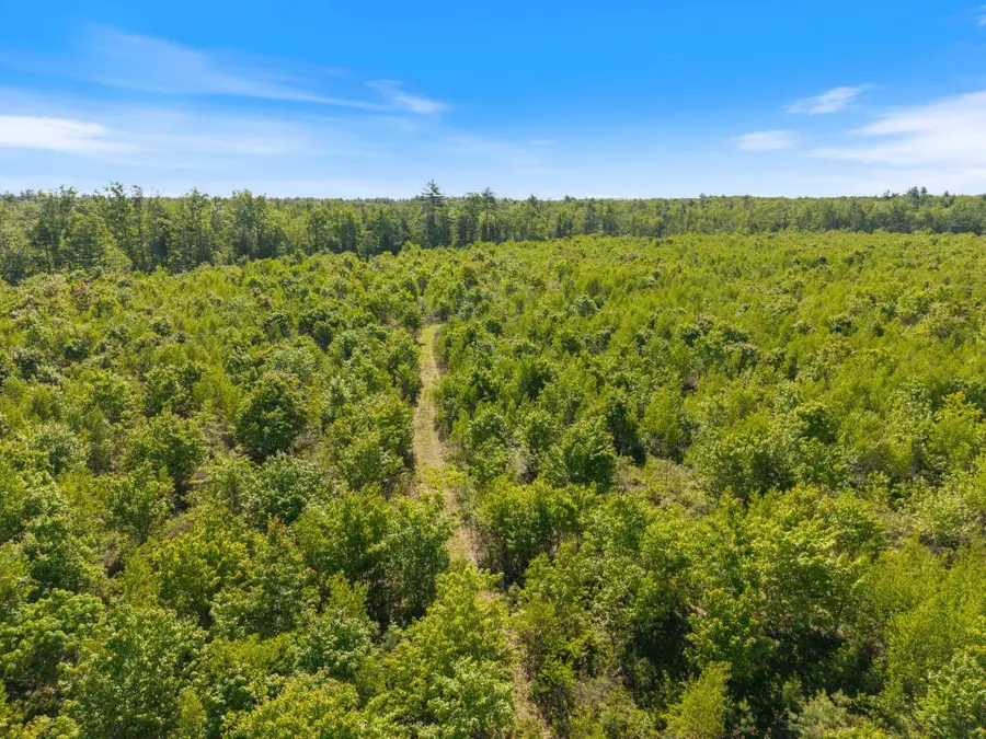 Map 004 Lot 064-5 & 064-6, Hollis, ME 04042 - #3