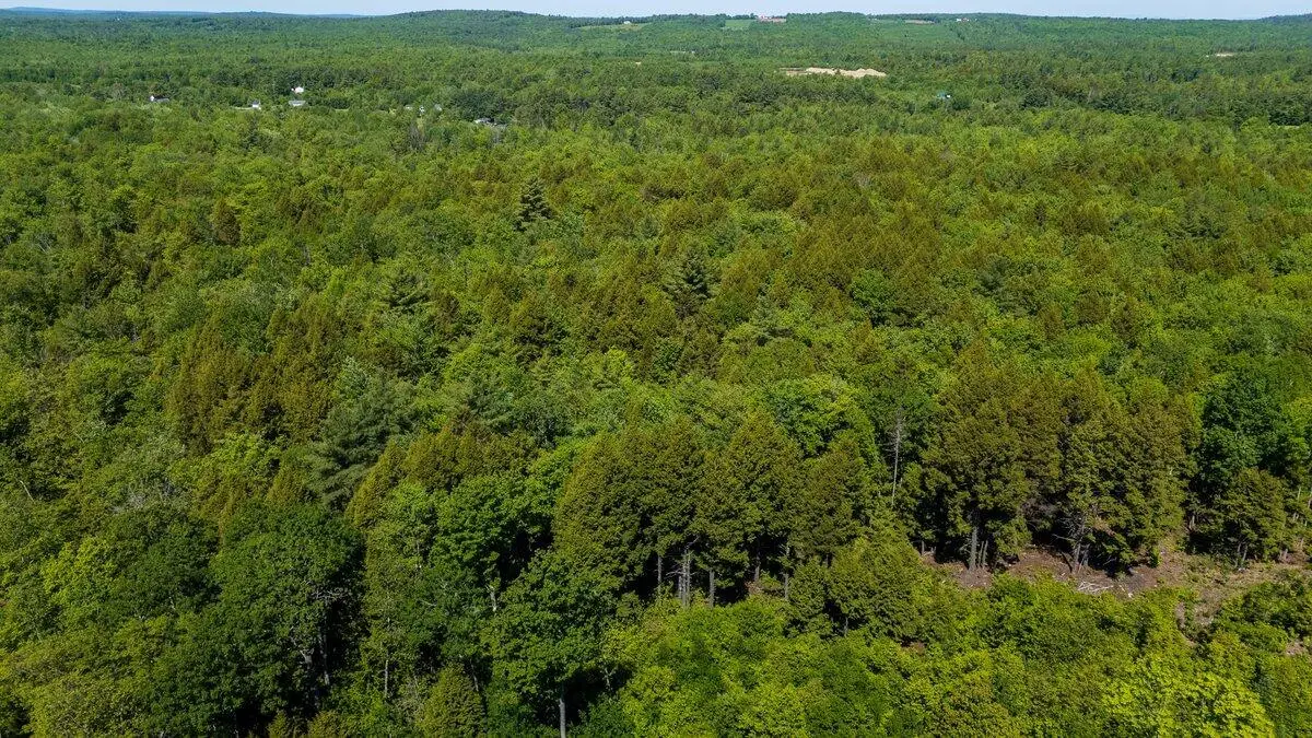 Map 6, 56 Nelson Ridge Road N Road, Washington, ME 04574 - #1