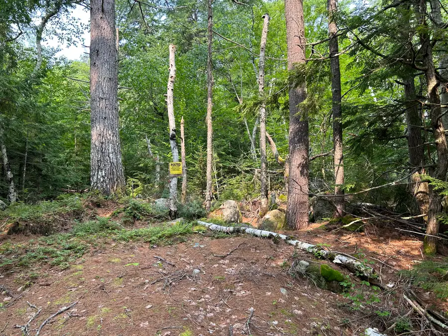 Lot 12-4 Mcnulty Lane, Rome, ME 04963 - #3