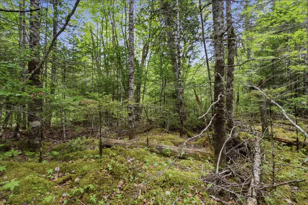 00 Kennebec Road, Machiasport, ME 04655
