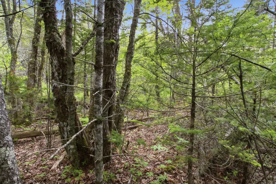 00 Kennebec Road, Machiasport, ME 04655 - #2