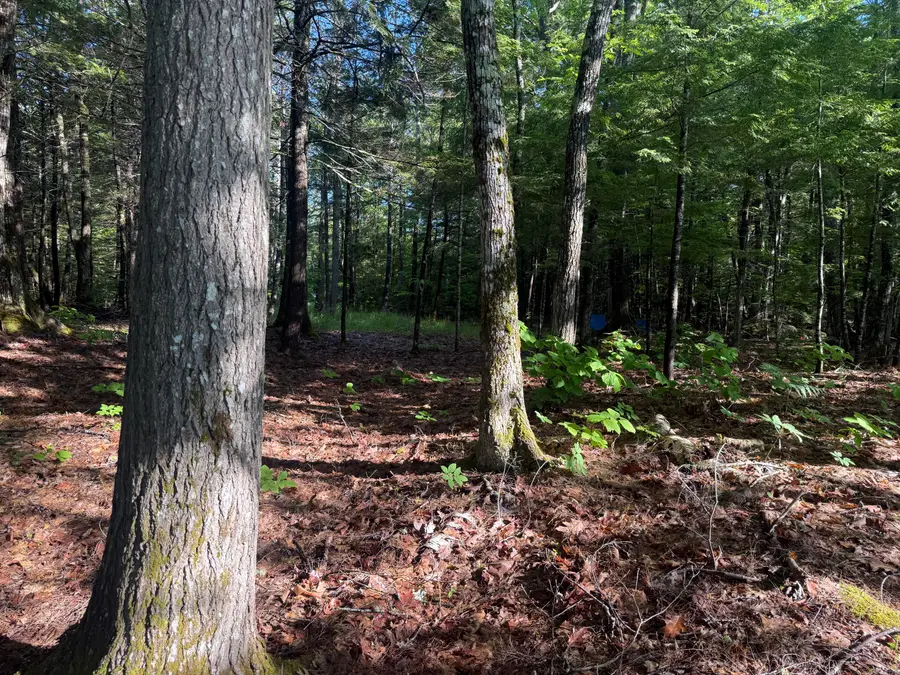 1.311 Route 116 Route, Mattamiscontis Township, ME 04457 - #2
