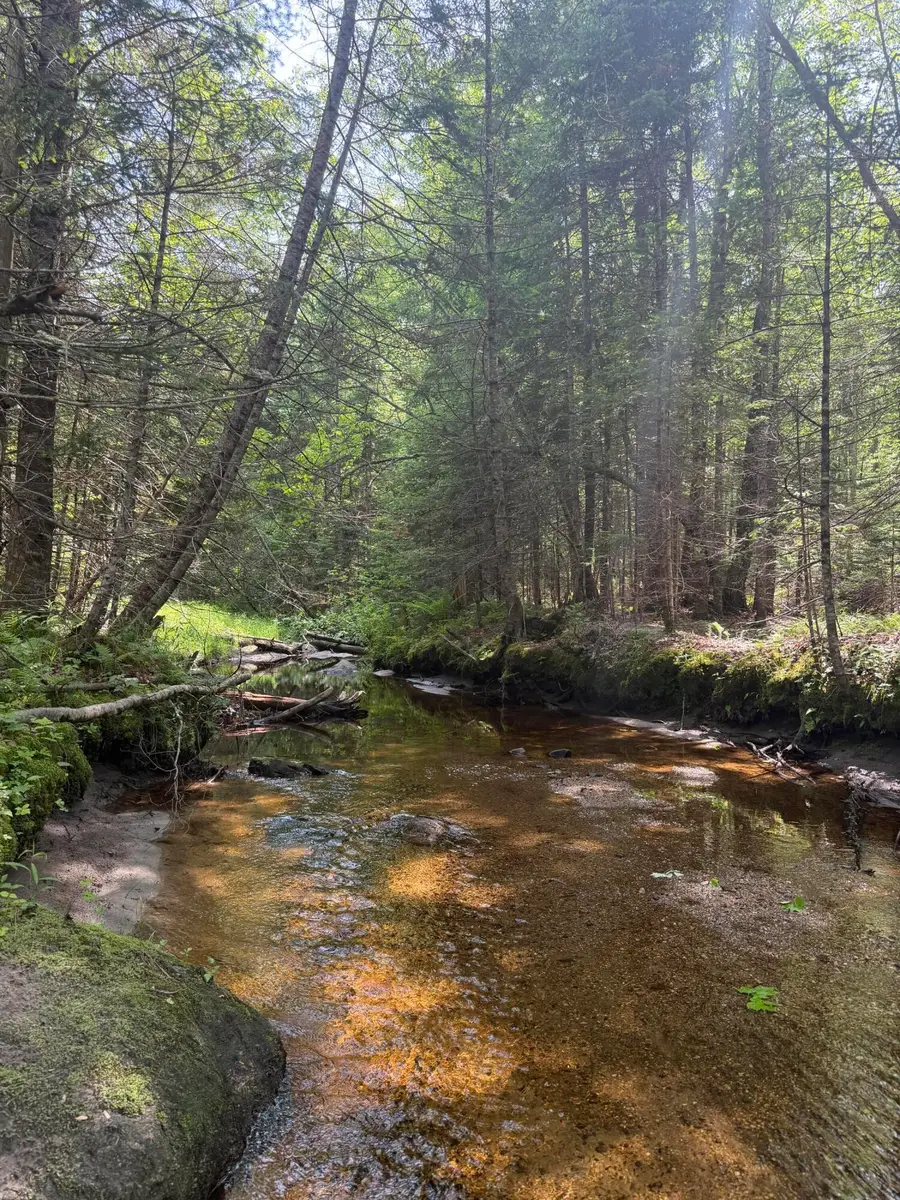 R13- 30.2 Buckfield Road, Paris, ME 04281 - #3